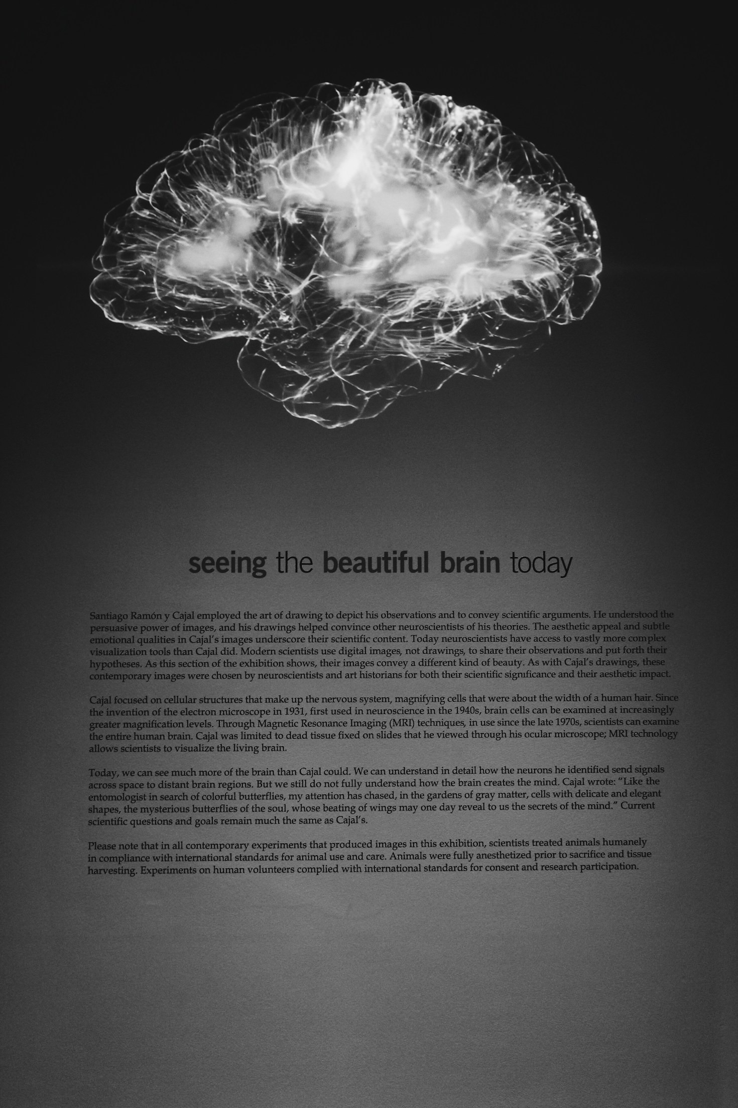 Reducing Stigma: A New Approach to Empathy Disorders